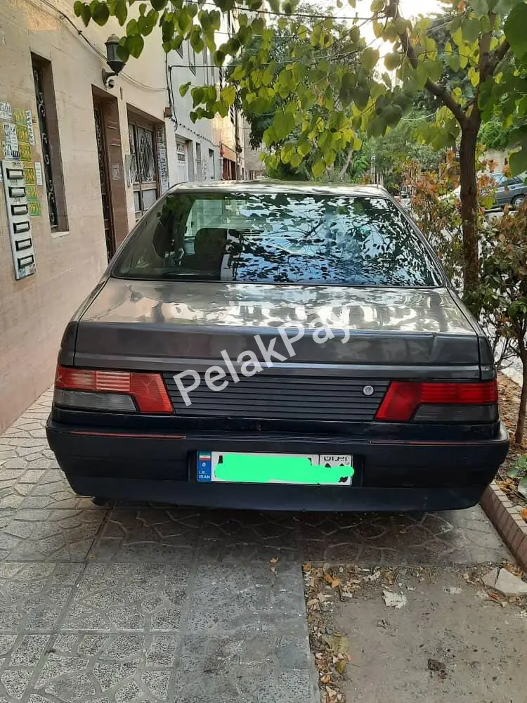 پژو، روآ